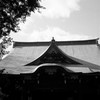 立春の鬼子母神