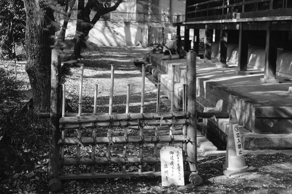桜の季節が終り