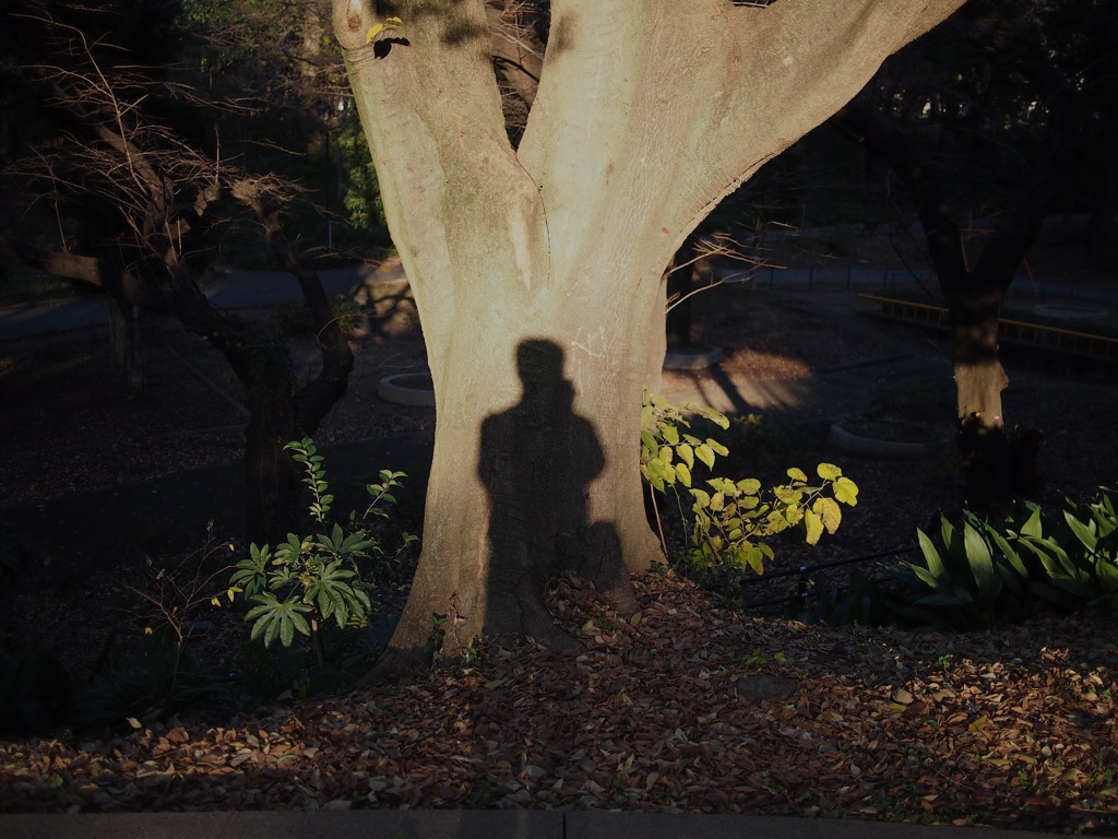 樹皮に焼き付けた自画像1