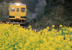 ムーミン列車