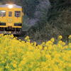 ムーミン列車