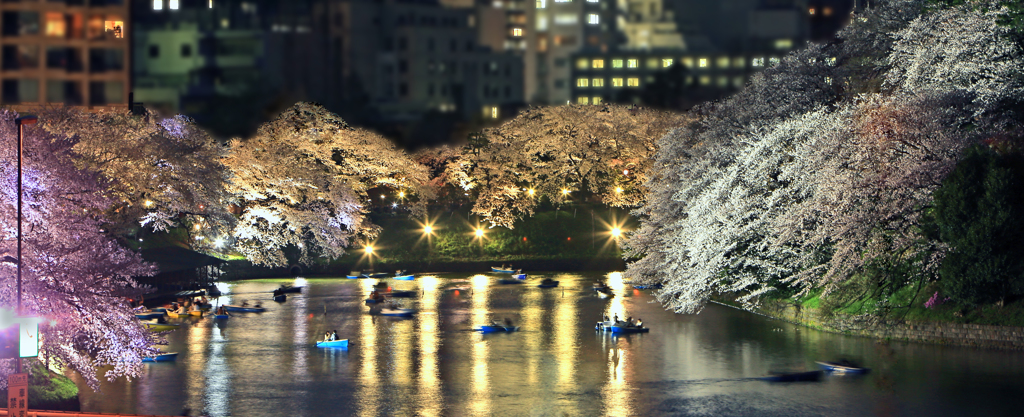 夜桜観覧