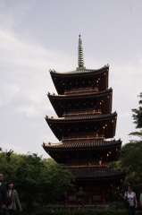 動物園の中の五重塔