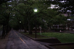 ツミのいた公園