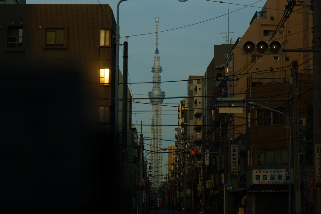亀甲縛りＯＫよ