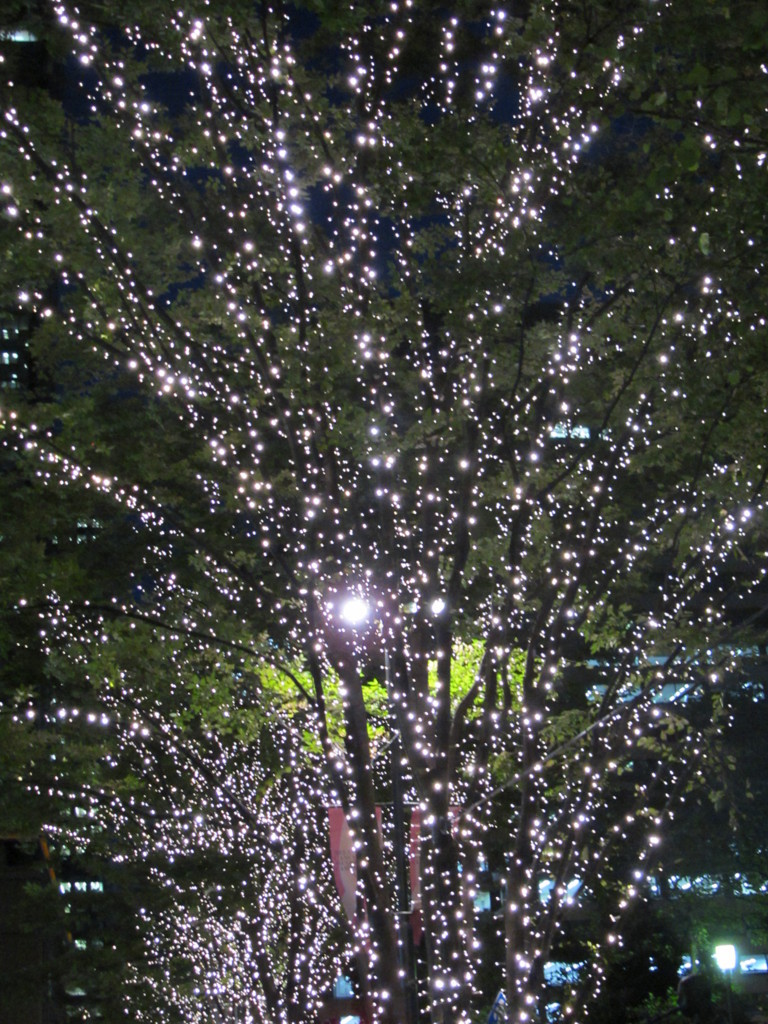 １０月１日の　東京駅界隈