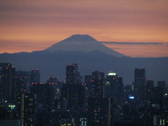 あの森の向こうに富士山