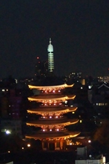 浅草寺　５重の塔