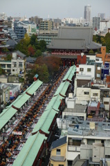アリの道