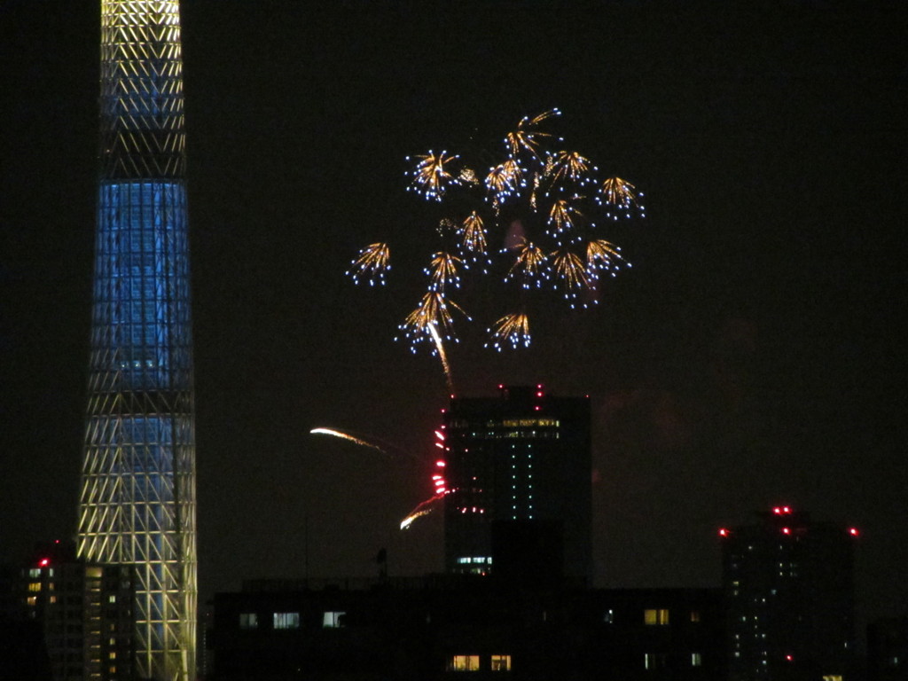 東京スカイツリーと隅田川の花火