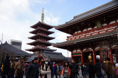 浅草寺　本堂と五重の塔