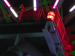 観覧花のめしべ（花芯）