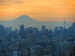 富士山と東京タワー