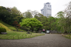 雨の庭園とシビックセンター