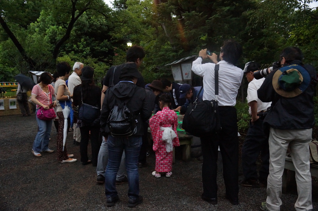 百花園　虫の音を聞く会（放虫の会）