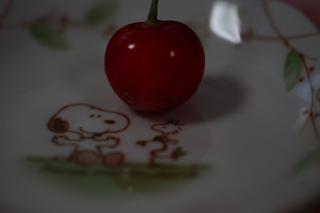 同期のサクラ