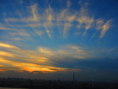 スカイツリーとすじ雲