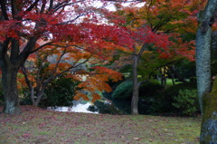 おしとやかに