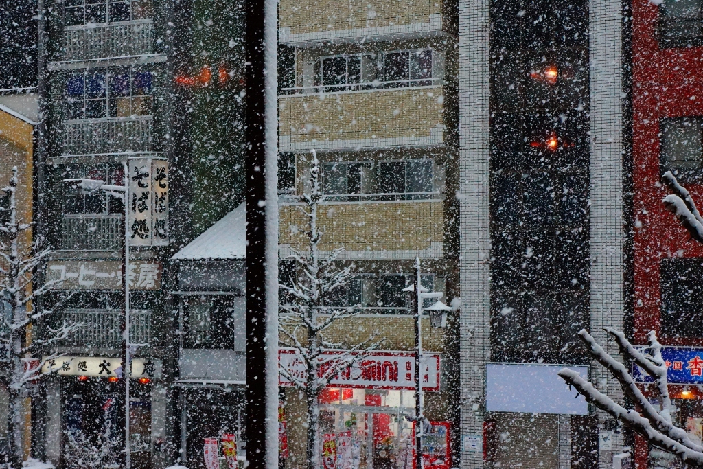 思い出の大雪