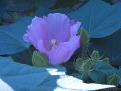 あなたが１番