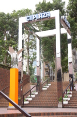 環境写真展