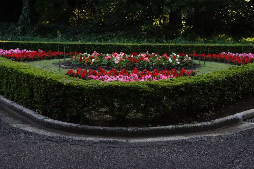 新宿御苑　花壇