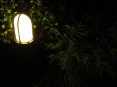 常夜灯　（１）