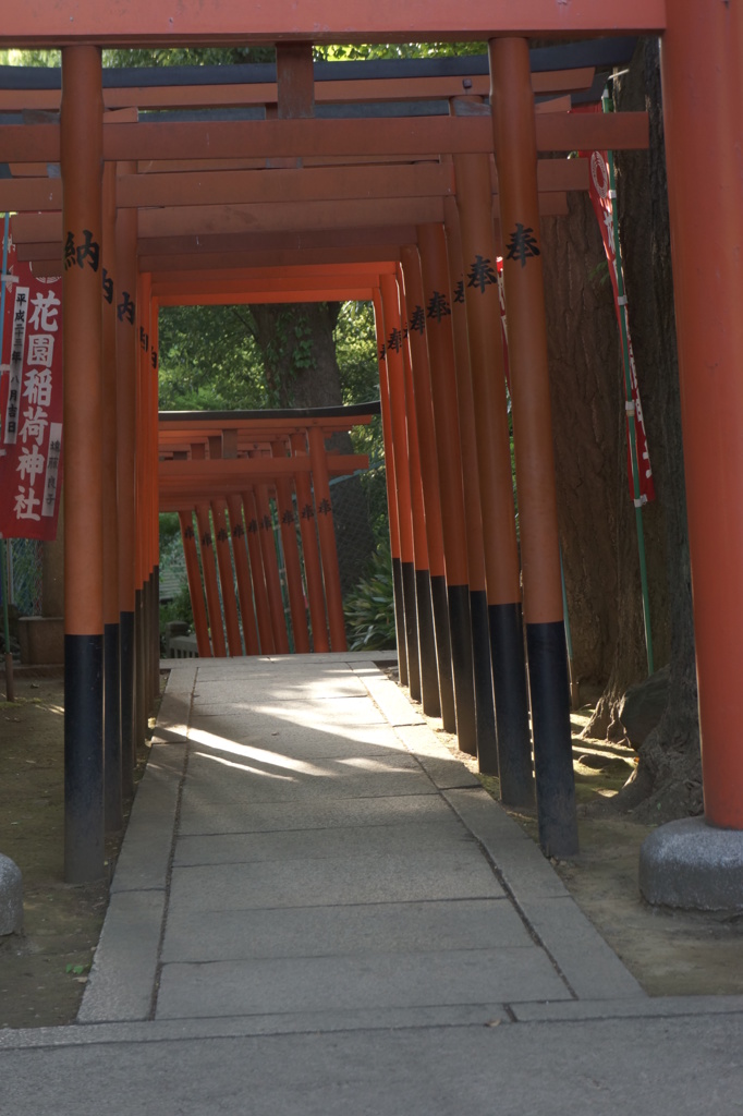上野の山に登る途中にある神社仏閣