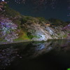 九段　みなもに写ったさくら　３