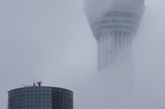 大地と天のせめぎあい