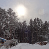 舂雪