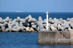 船と灯台とウミネコ