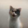 こわ