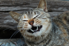 ウッ
