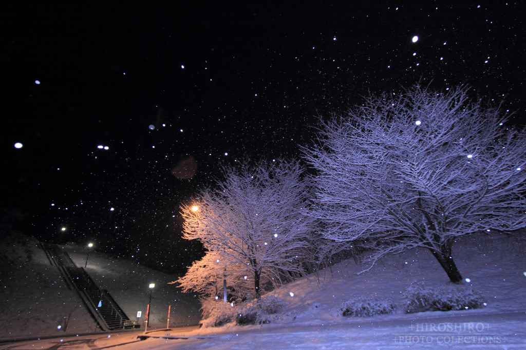 +雪の降る日のコト+