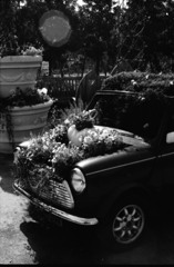 CAR & Flower