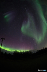 Aurora in Alaska