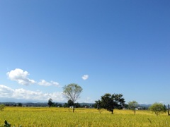  どこまでも 透きとおる 空