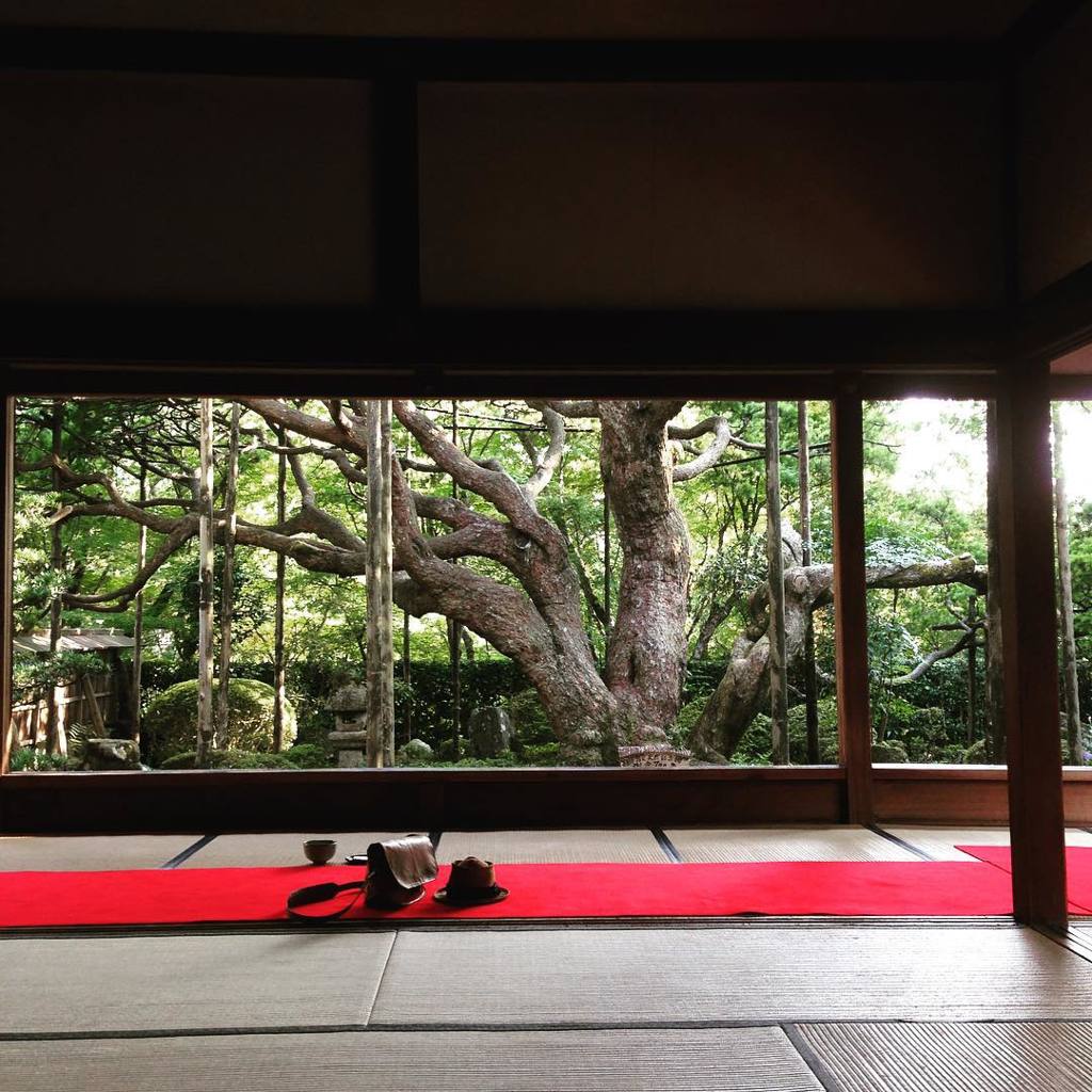 夏の宝泉院