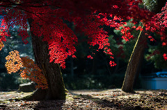 秋の南禅寺