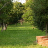 PA223918