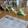 tasting at Domaine Chandon