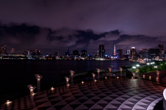 Tokyo Night View