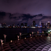 Tokyo Night View