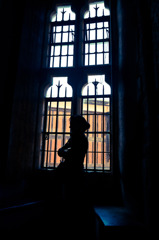 Silhouette