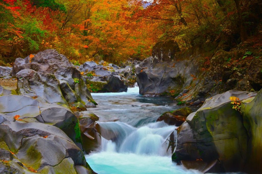 晩秋の渓谷を巡る