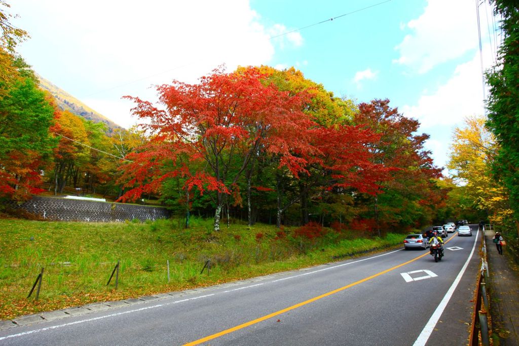 奥日光の紅葉