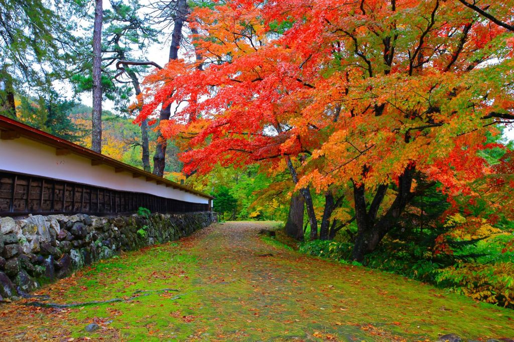 紅葉散歩