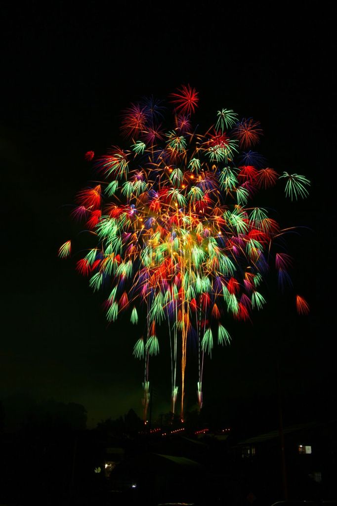 夜空に大輪の花が咲きました