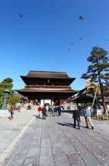 初秋の善光寺